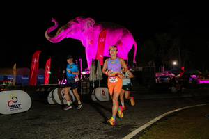 BIB: 
                            <button type="button" onclick="openModal(26534496)" class="btn btn-primary btn-sm float-right btn-popup" data-toggle="modal" data-target=".modal-high-quality">
                        <i class="fas fa-shopping-cart"></i> Add to Cart
                    </button>
                                            <button type="button" onclick="isThisMe(26534496, true)" class="btn btn-success btn-sm float-right btn-popup btn-isme hidden" data-toggle="tooltip" data-placement="bottom" title="นี่คือรูปของคุณใช่ไหม คลิกที่นี่เพื่อเอาเข้าอัลบั้ม">
                        <i class="fas fa-plus"></i> Add to album
                    </button>
                    <button type="button" onclick="isThisMe(26534496, false)" class="btn btn-warning btn-sm float-right btn-popup btn-isnotme hidden">
                        <i class="fas fa-ban"></i> Remove from album
                    </button>